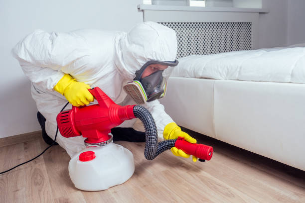 Best Emergency Pest Control  in Bayshe, OR