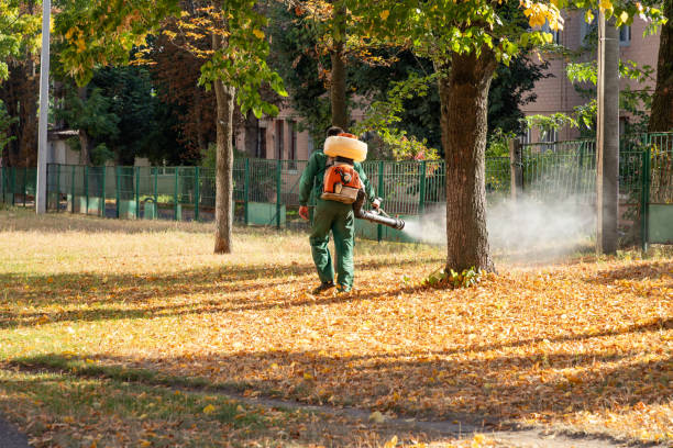 Best Affordable Exterminators  in Bayshe, OR